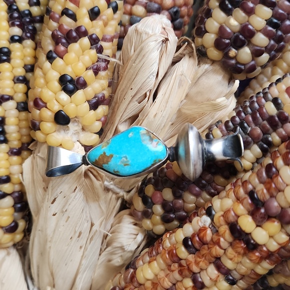 Gorgeous NWOT Native American Navajo Turquoise Squash Blossom Pendant 💙
